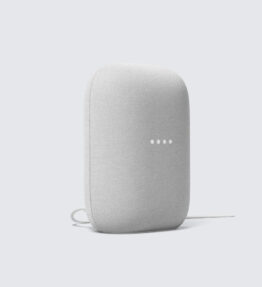 Google Nest Speaker