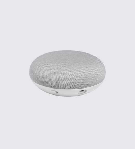 google-nest-mini